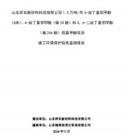 山東祥東新材料科技有限公司1.2萬噸/年6-叔丁基鄰甲(60K)、4-叔丁基鄰甲酚(偏 24 酚)和 4，6-二叔丁基鄰甲酚(偏 246 酚)烷基甲酚項目竣工環(huán)境保護(hù)驗收監(jiān)測報告
